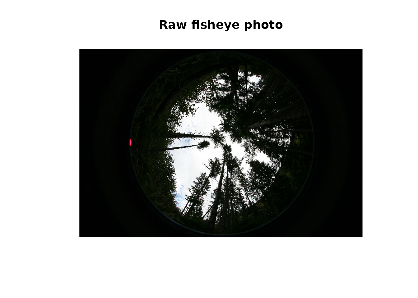 Raw hemispherical photograph before preprocessing