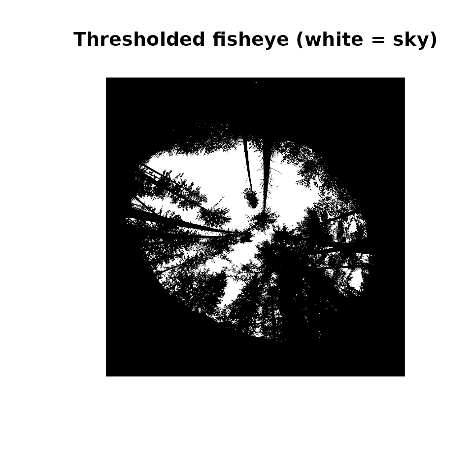 Binary sky/canopy mask after thresholding